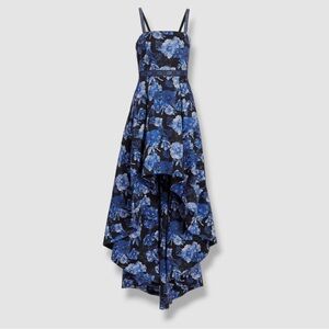 Floral Blue and Black Women's Dress